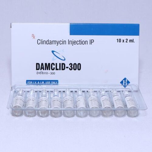 DAMCLID-300